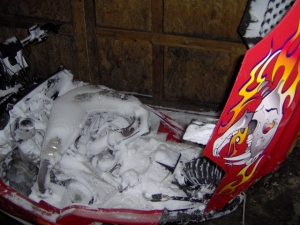 HPIM0354.JPG