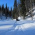 A typical snow-machine trail in Petersville, Alaska.
