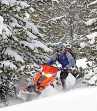 Arctic Cat ProClimb M 800 Snow Pro 153