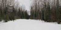 trail-featured