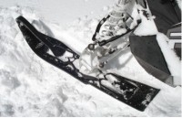 Curve Industries XSM Skis